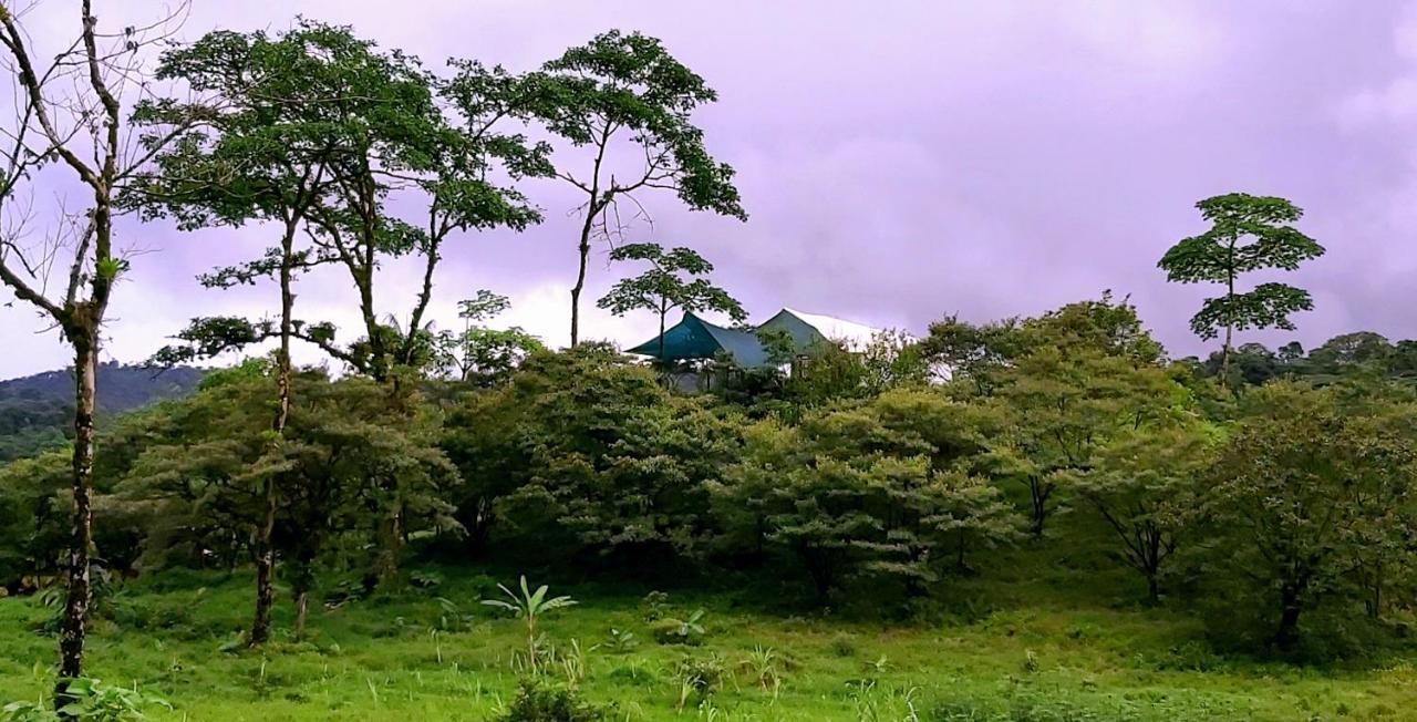 Garza Del Sol Glamping Rio Celeste Buganvilia Exteriér fotografie
