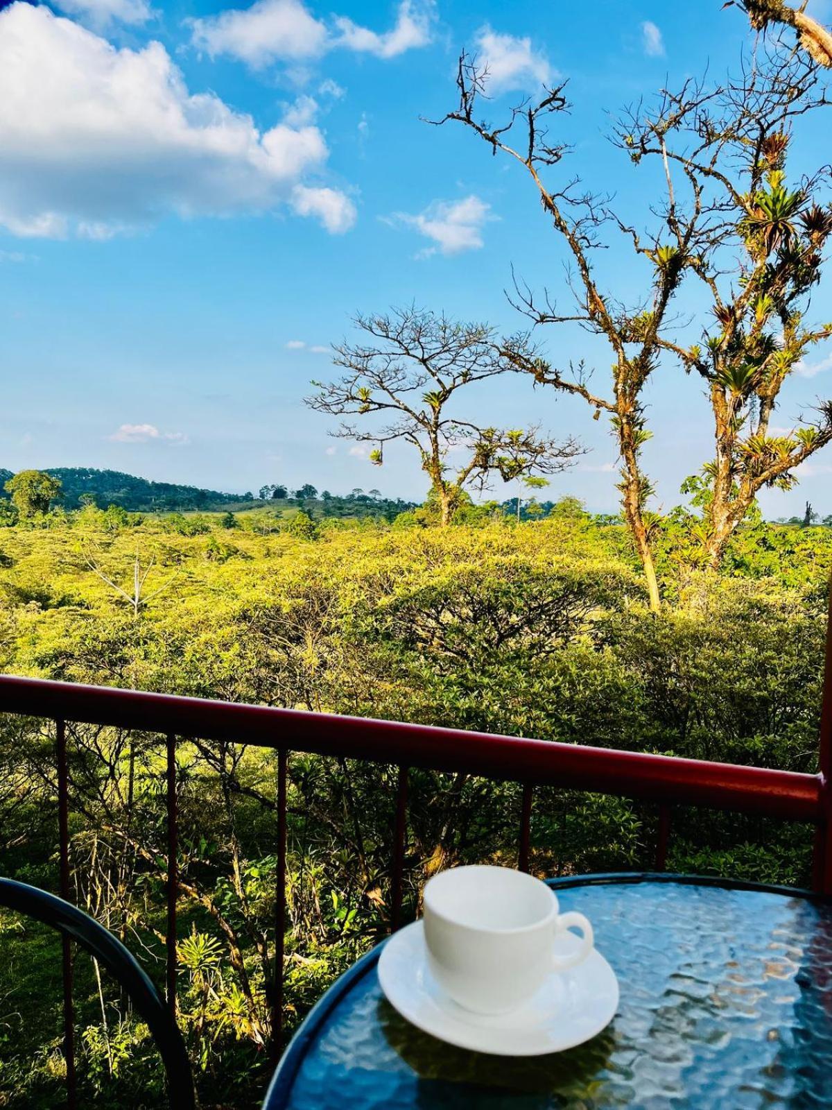 Garza Del Sol Glamping Rio Celeste Buganvilia Exteriér fotografie